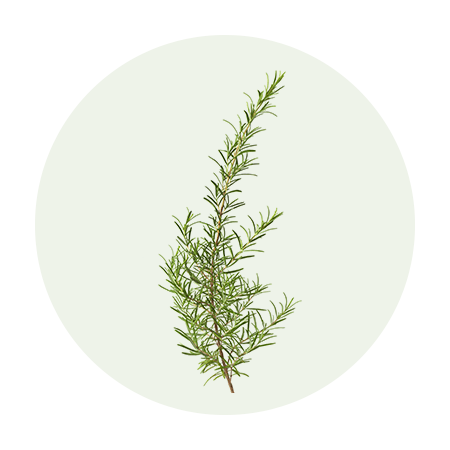 Rosemary